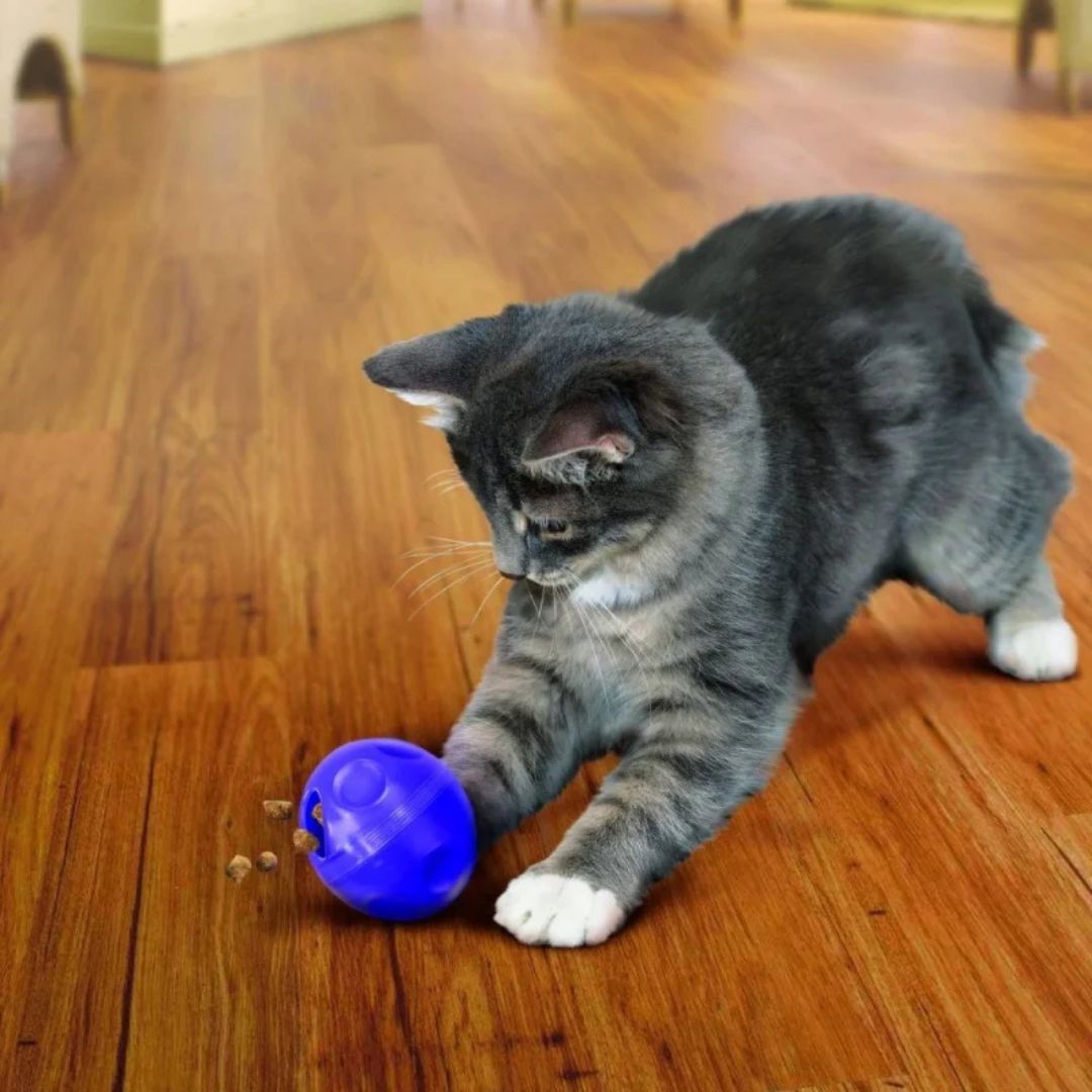 Kong® Jouet pour chat Cat Treat Dispensing Ball