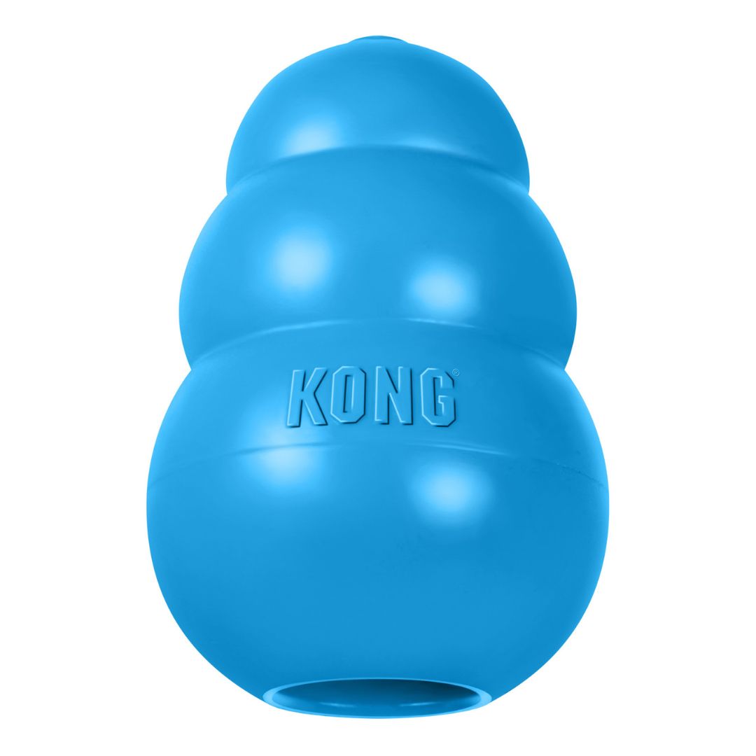 Kong® Puppy Bleu