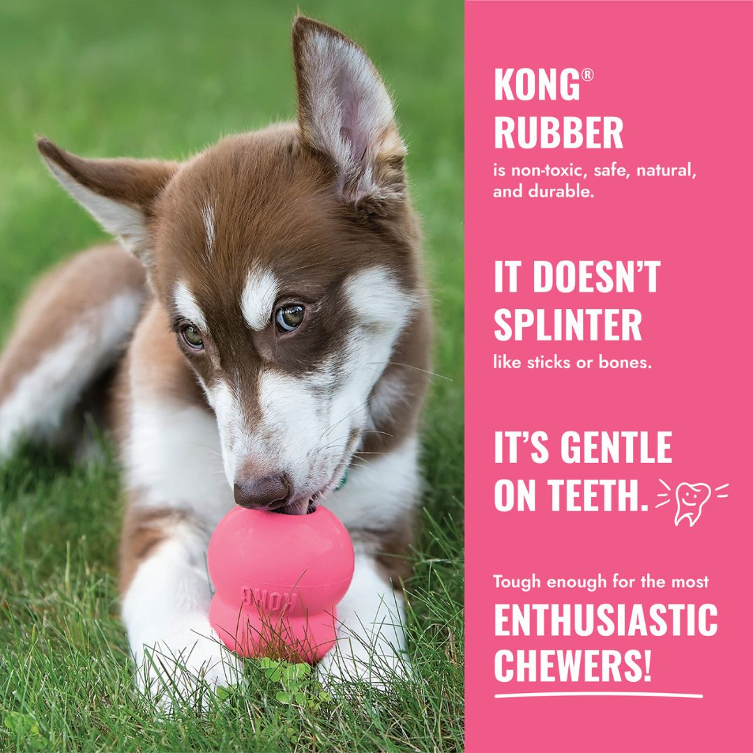 Kong® Puppy Goodie Bone Rose