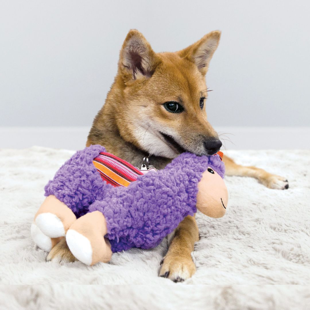 Kong® Sherps Llama