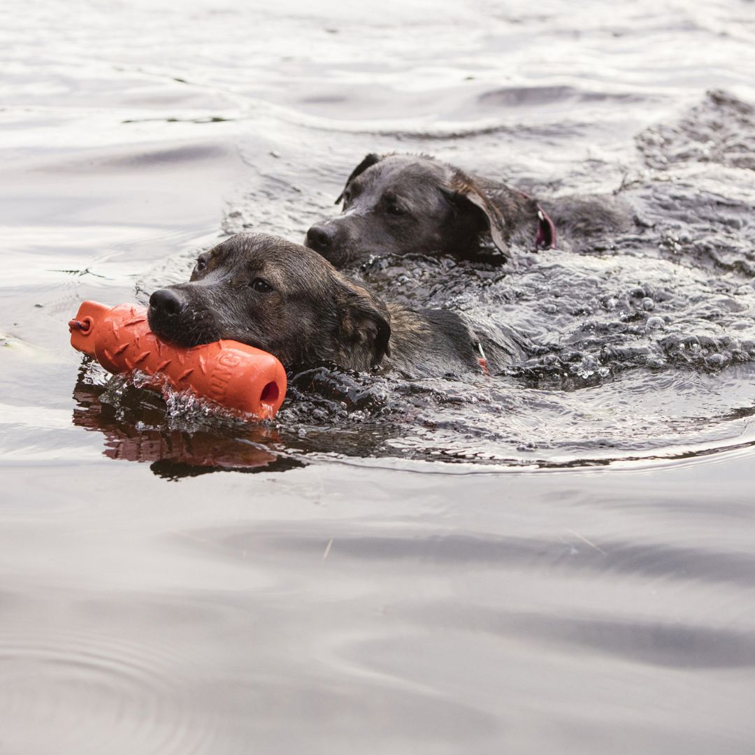 Kong® Training Dummy
