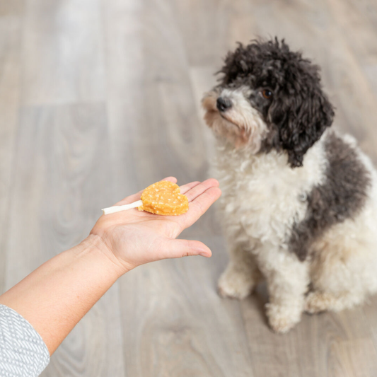 Lolly au poulet et au riz