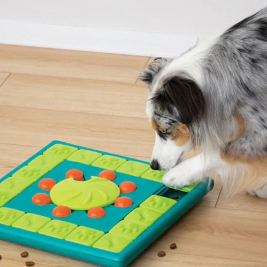 Nina Ottosson - MULTIPUZZLE Niveau 4