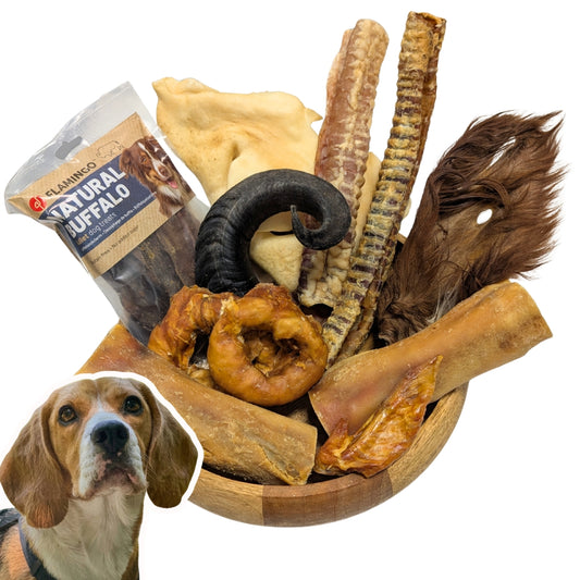 MasticaBOX - Vick'Snack