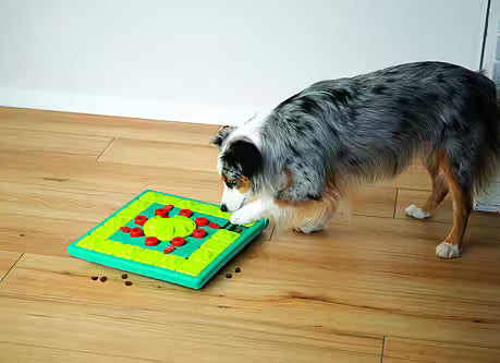 Nina Ottosson - MULTIPUZZLE Niveau 4