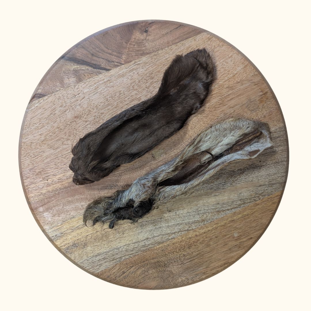 Oreille de Chèvre avec poils 200g 🐐