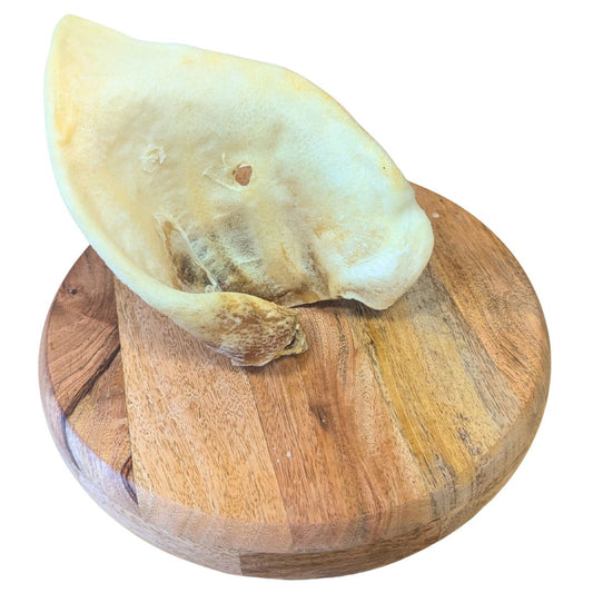 Oreille de Porc Soufflé XL
