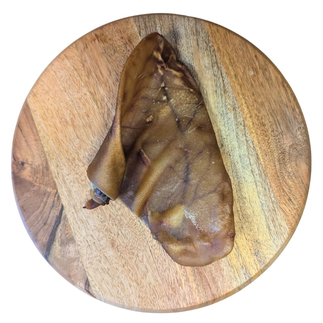 Oreille de Porc XL