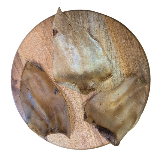 Oreille de bœuf sans cartilage