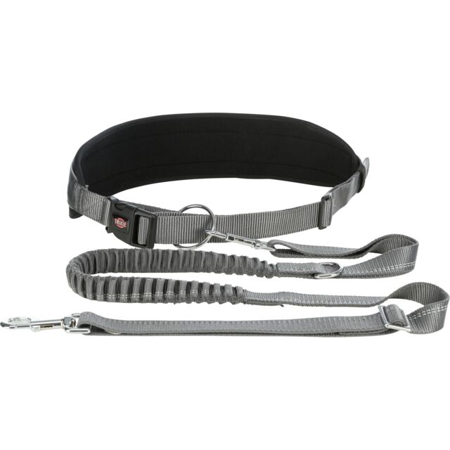 Ceinture ventrale avec laisse pour chiens