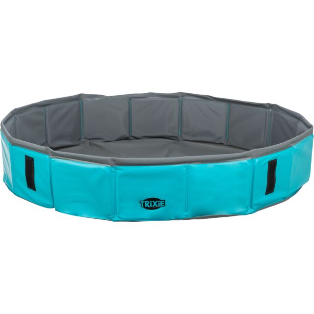 Piscine pour Chien