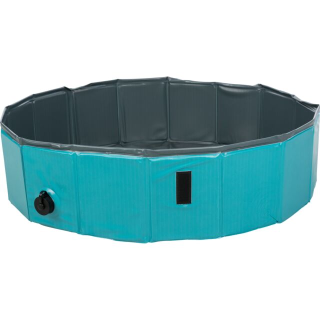 Piscine pour Chien
