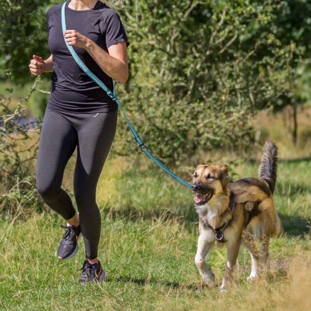 Laisse jogging