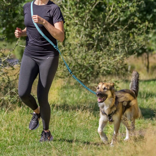 Laisse jogging