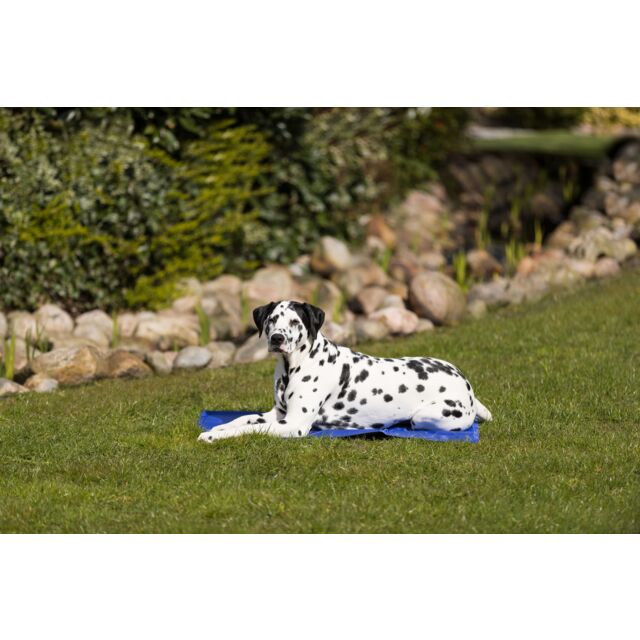 Matelas rafraîchissant