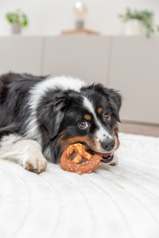 Pretzel au canard