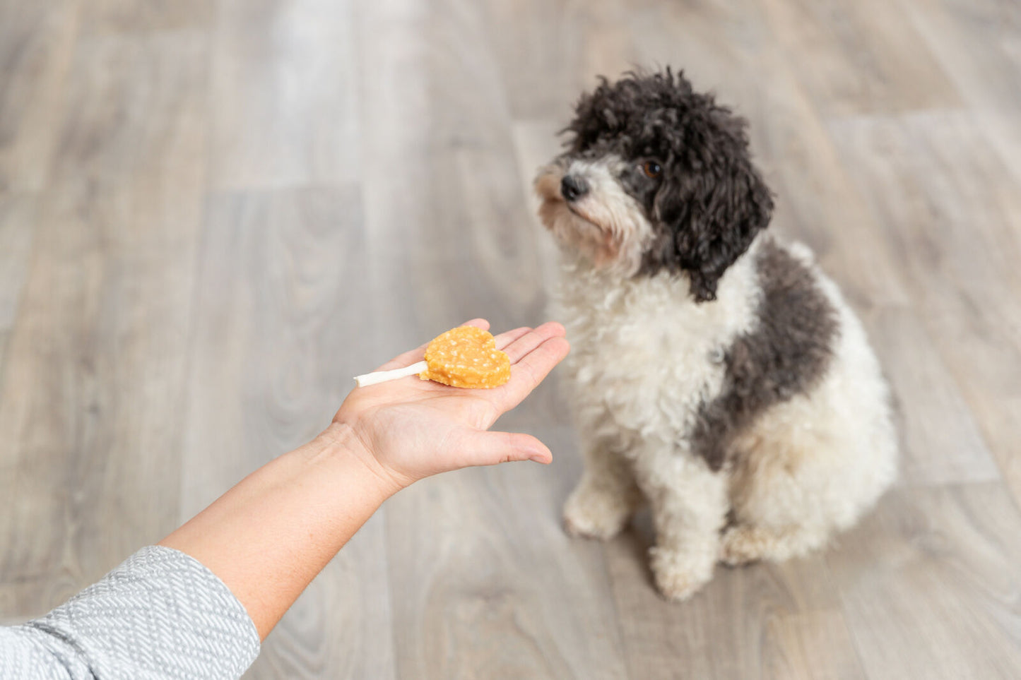 Lolly au poulet et au riz
