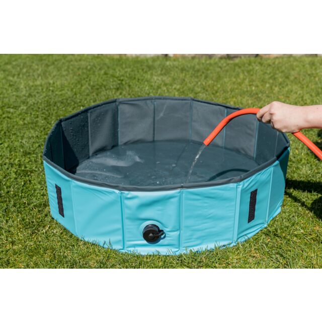 Piscine pour Chien