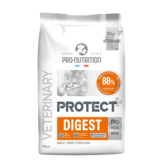 PROTECT Chat Digest