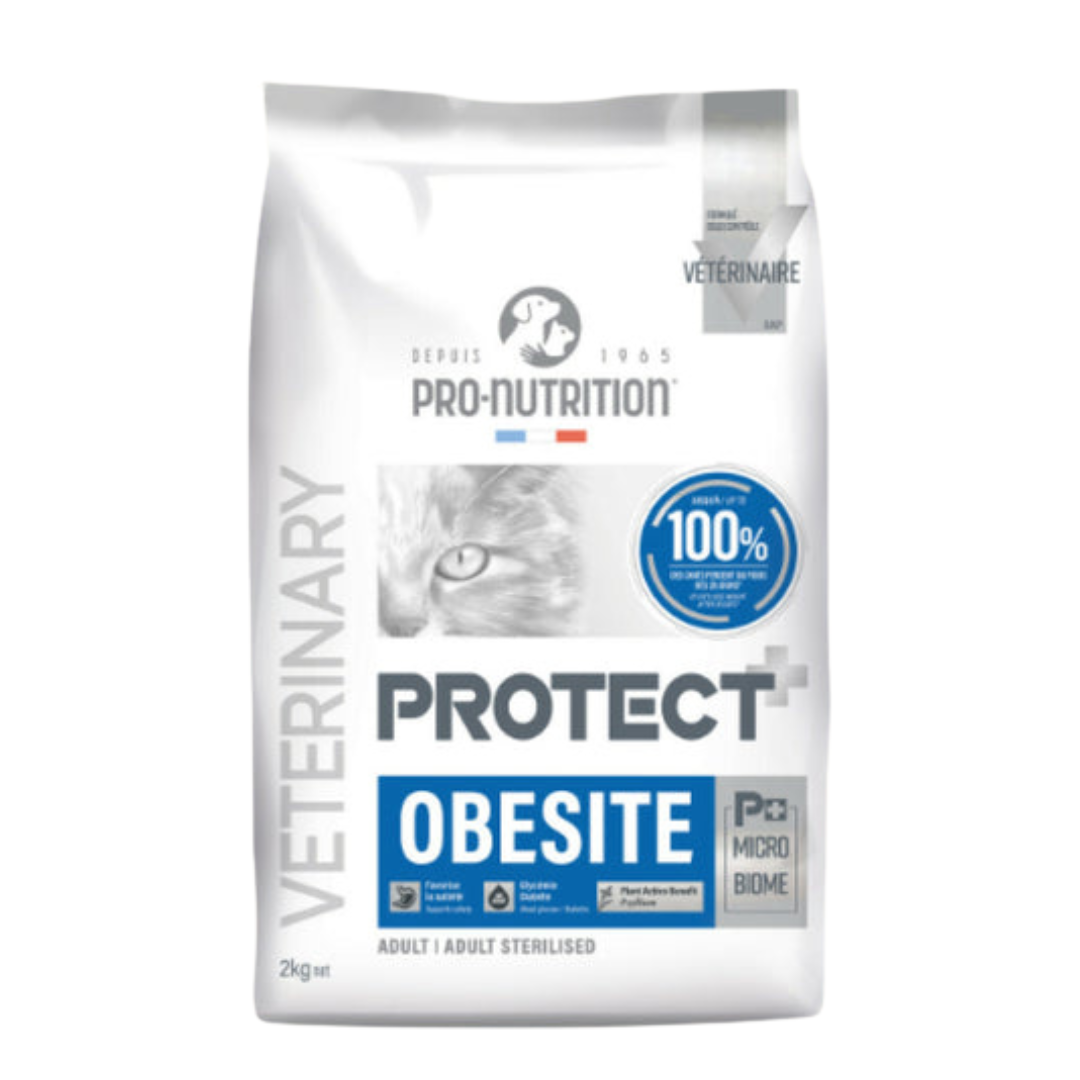 PROTECT Chat Obesite