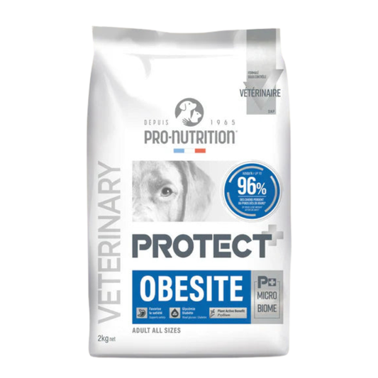 PROTECT Obesite
