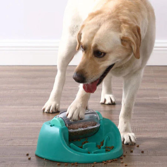 Nina Ottosson - DOG SPIN N´ EAT Niveau 2