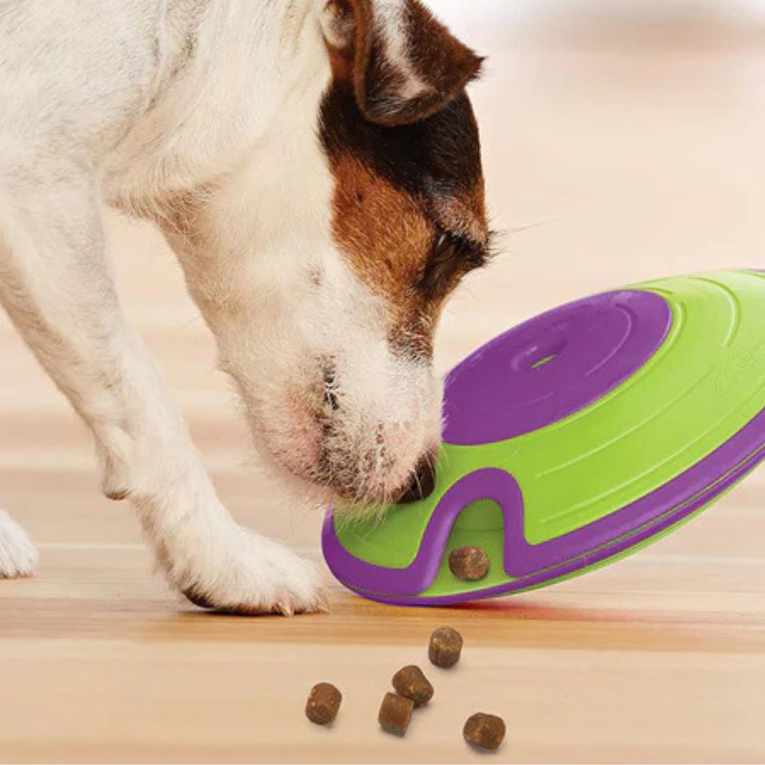 Nina Ottosson - DOG TREAT MAZE Niveau 2