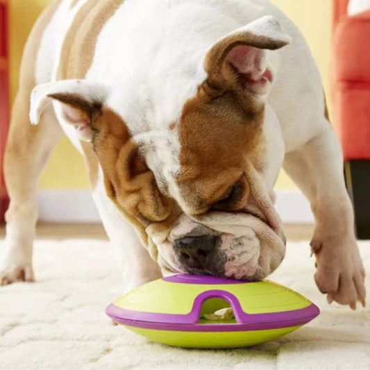 Nina Ottosson - DOG TREAT MAZE Niveau 2