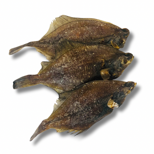 Plie grise séchée 🐟
