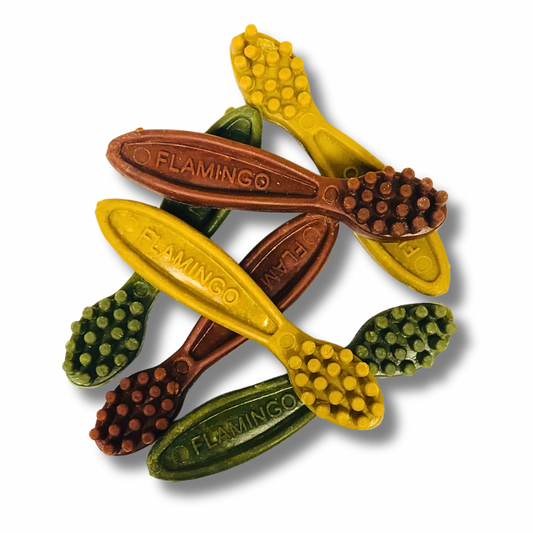 Friandise Veggie Brosse à dents 🌿