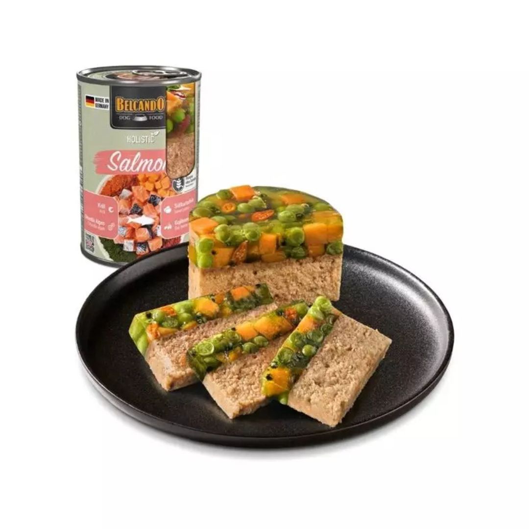 BELCANDO - Boîte Holistic Saumon