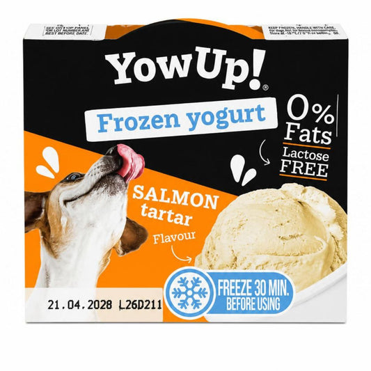 YowUp! Yaourt Glacé Tartare De Saumon