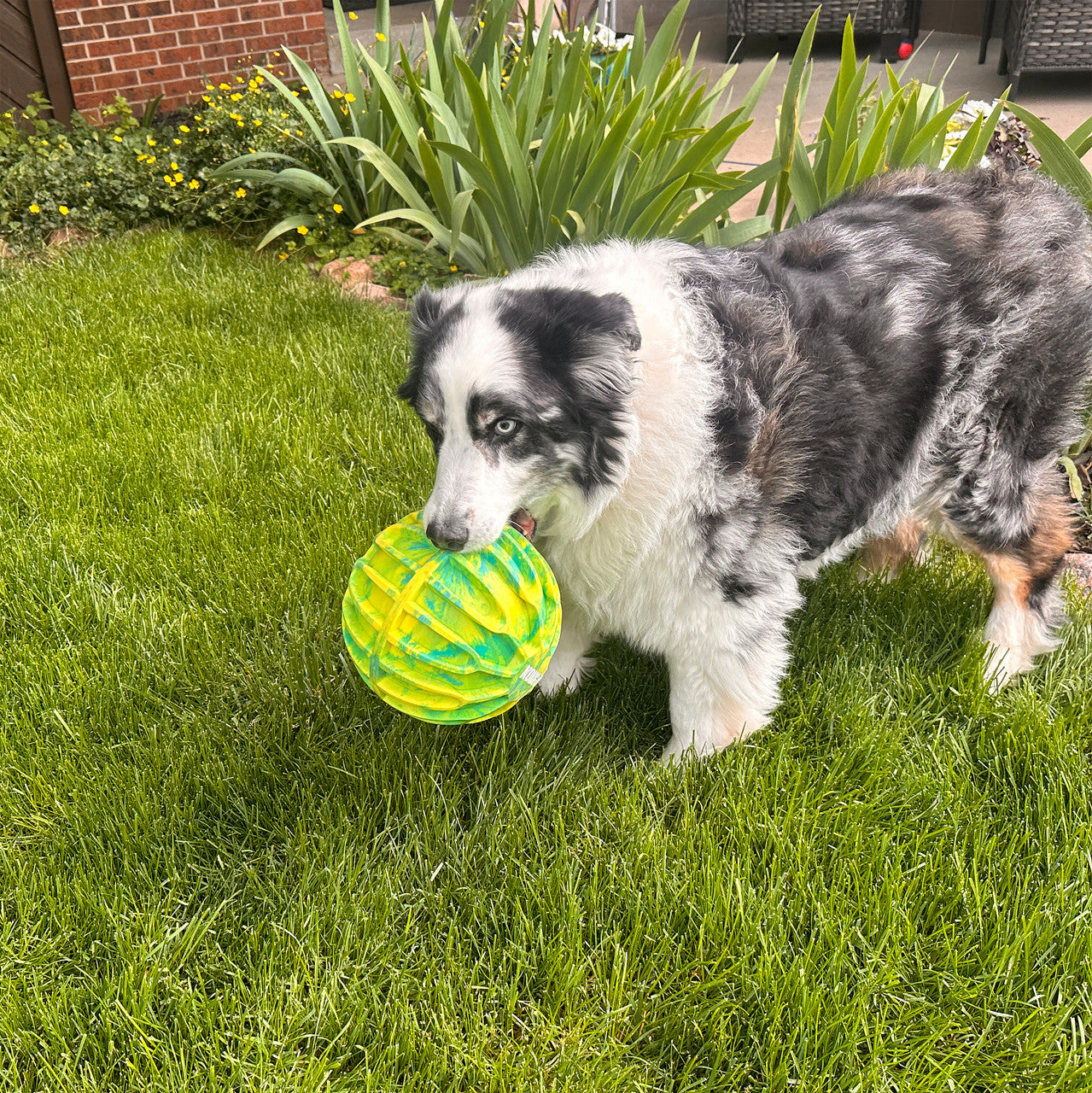 Kong® Flexball Sport Ball