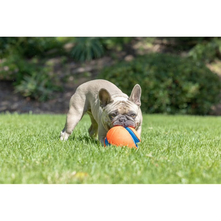 Ballon Kick Fetch Chuckit! S⚽
