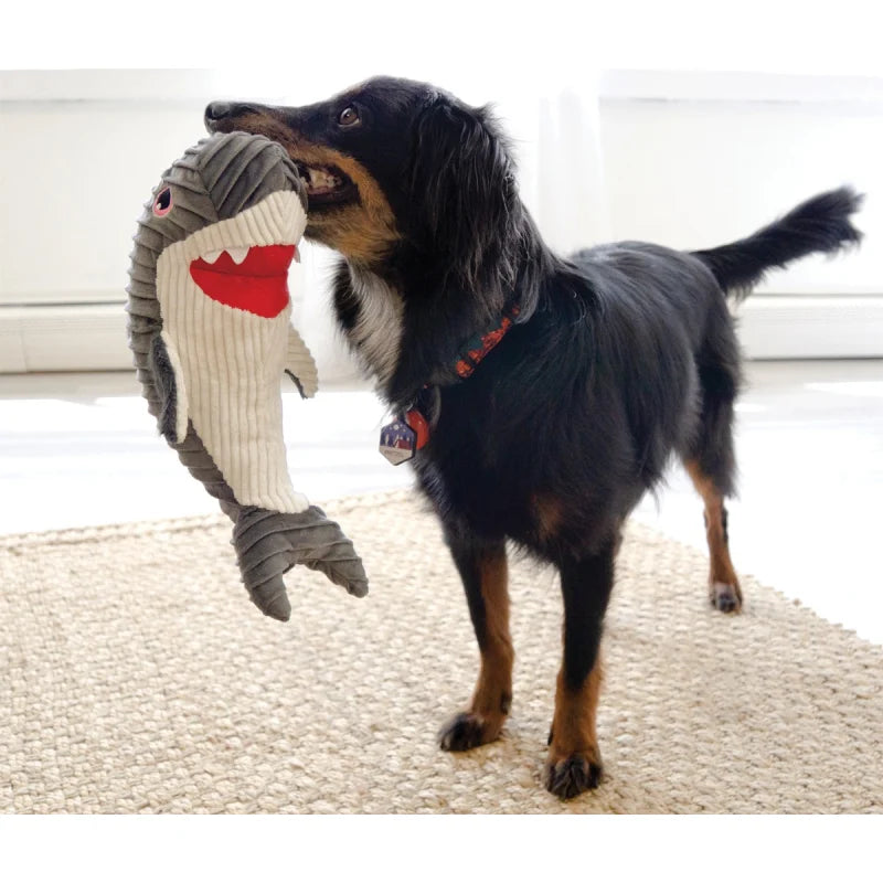 Kong® Cuteseas Rufflez Requin