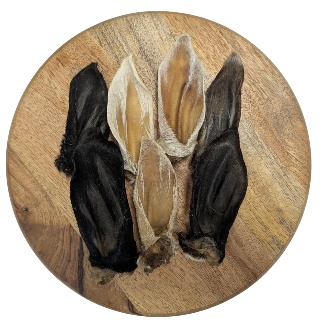 Oreille d'Agneau avec poils 🐑