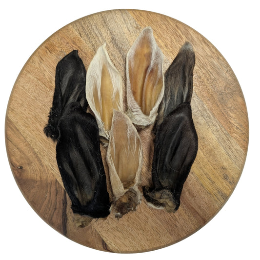 Oreille d'Agneau avec poils 🐑