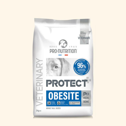 PROTECT Obesite